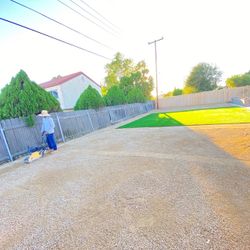 Grass Artificial, Turf, Fake Grass