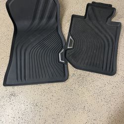 BMW all weather floor mats and trunk liner