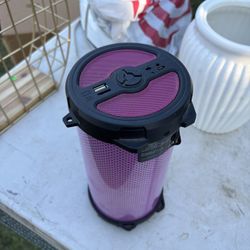 Pink Speaker