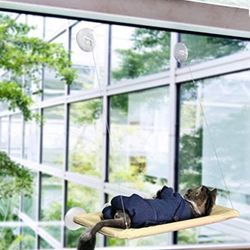 Noyal Window Cat Bed