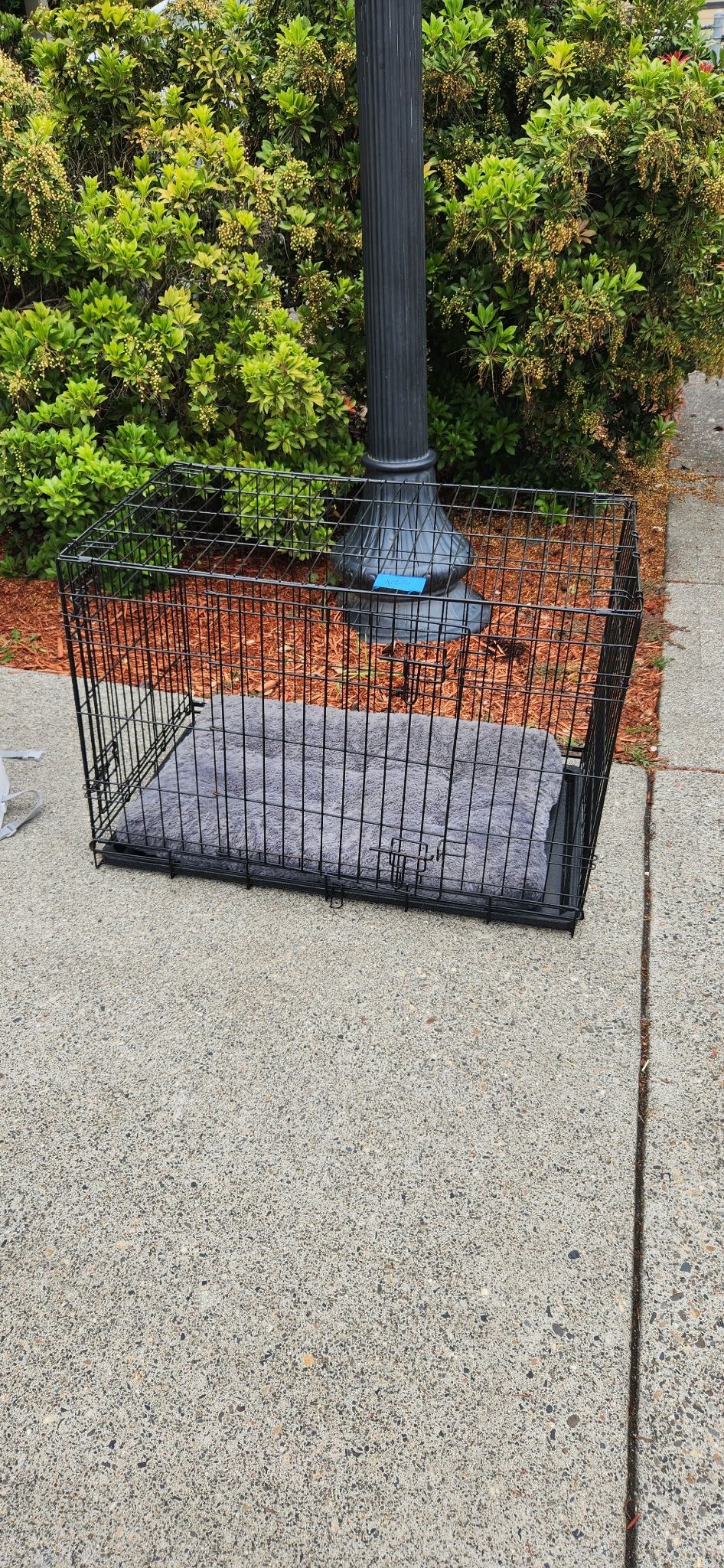 Portable/Collapsible Dog Crate With Plastic Liner And Bed -$25