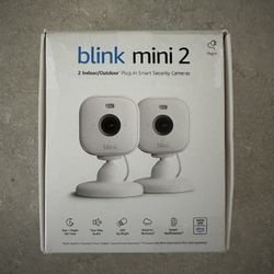 Blink mini 2 camera - $35 each ( i have 2)