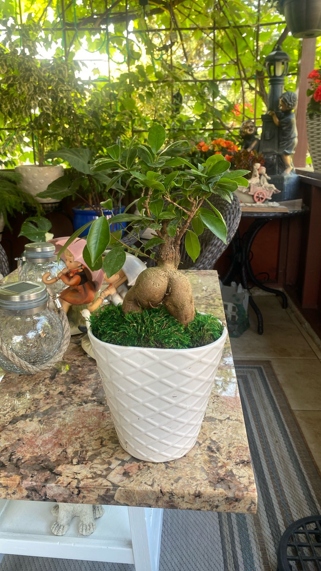 Bonsai ceramic Pot