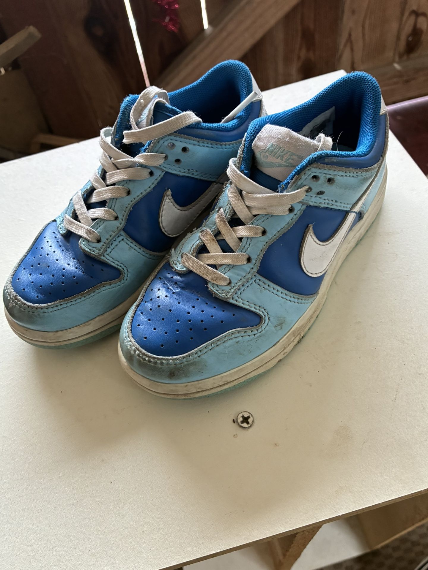 Boys Nike Dunk