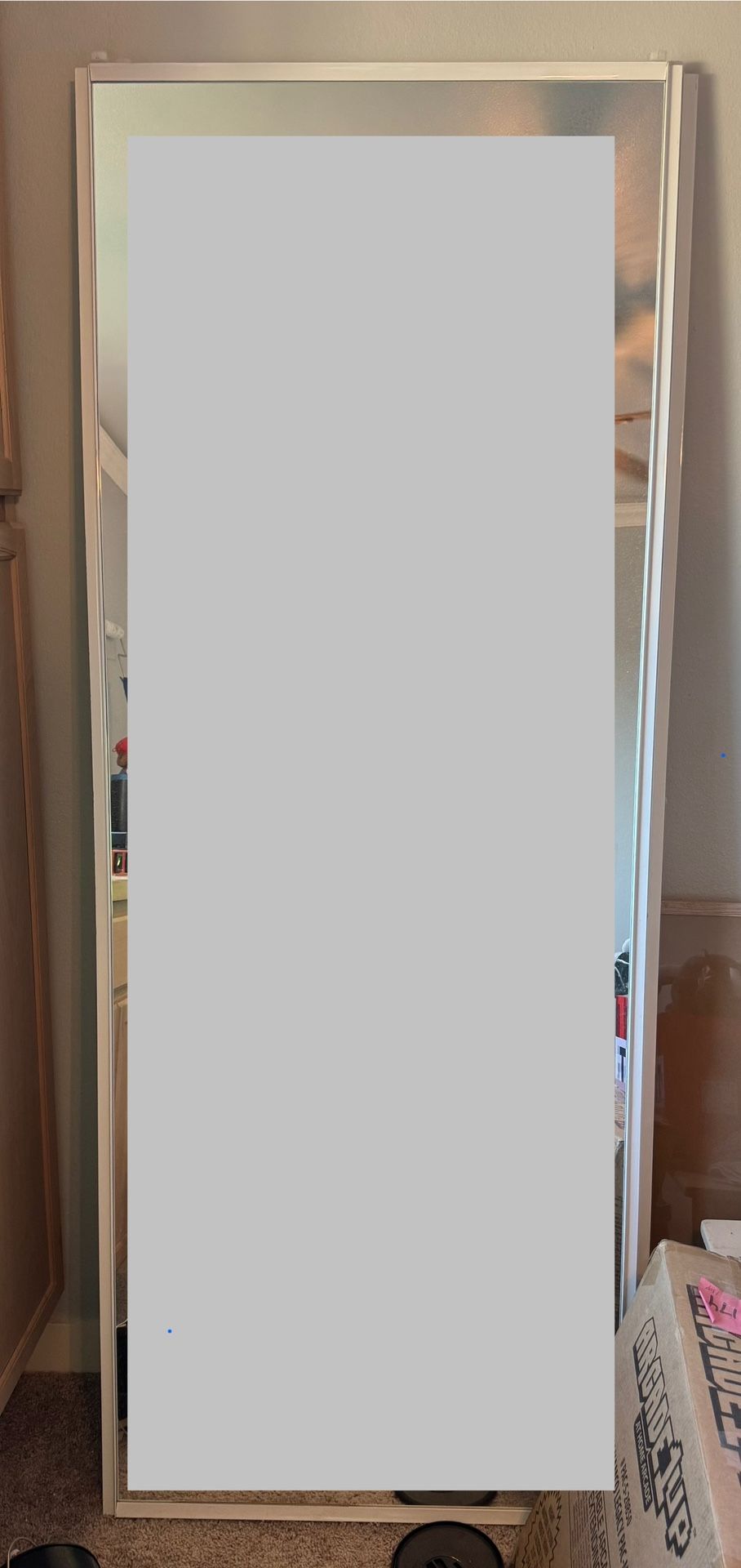 (2) Sliding Closet Mirror doors