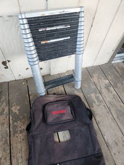 Telestep Telescoping Ladder