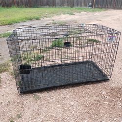 Jaula grande $35 
📍Alton 