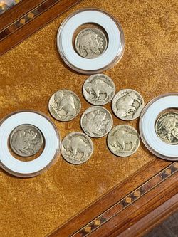 Rare 👌!! 9 Buffalo Nickel Lot – 1919-D, 1928-D, 1936 + 6 Dateless Coins !