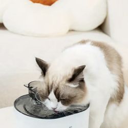 Cat Filter Water Fountain 
