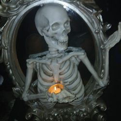 3d Skelet Mirro  Condle Holden