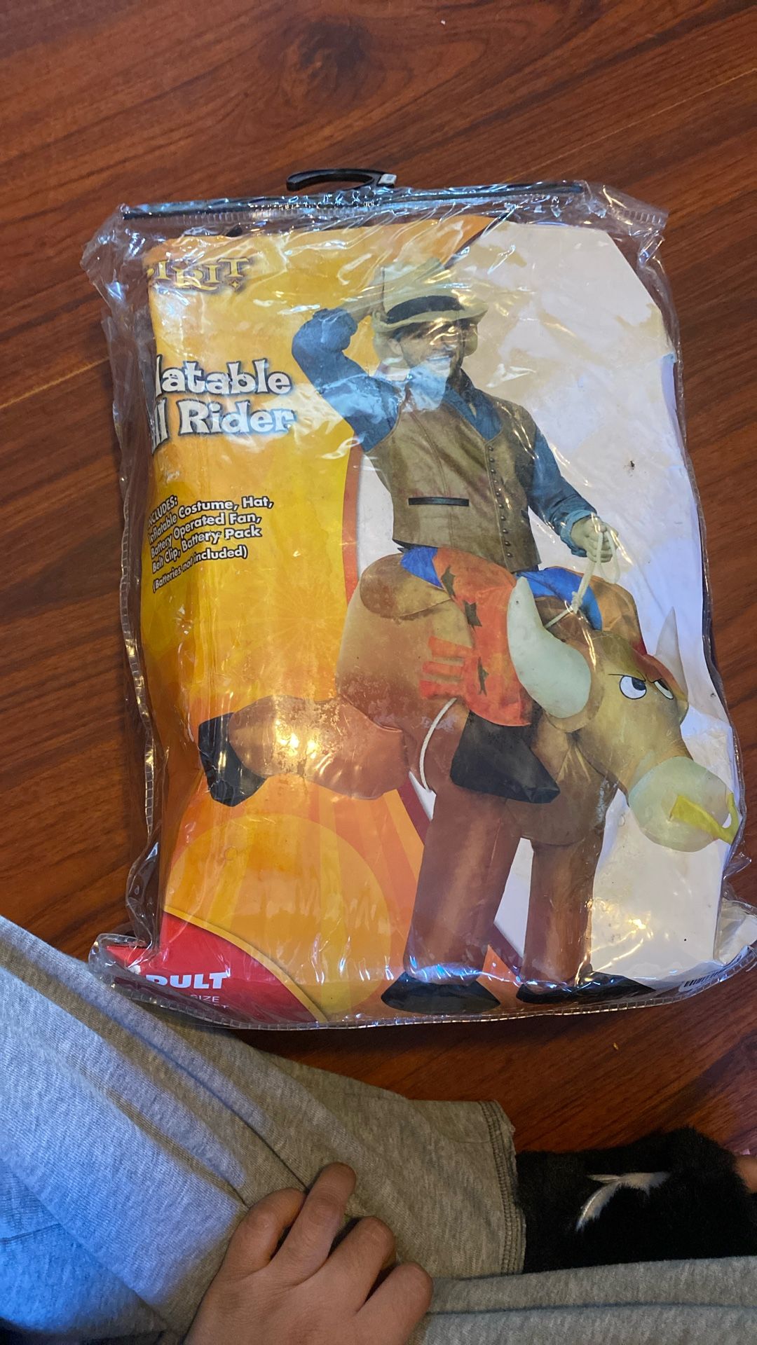 Inflatable Bull Rider