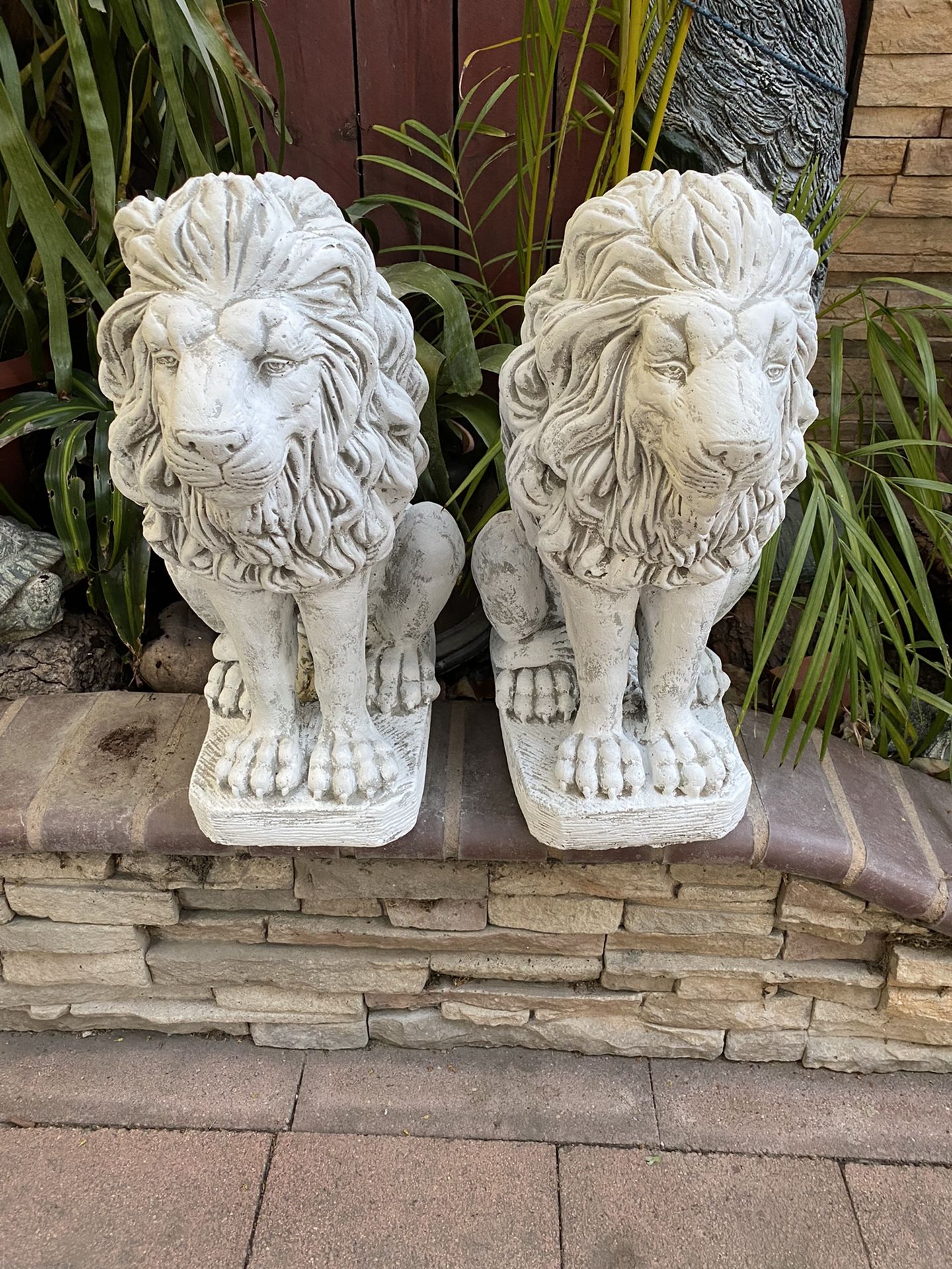 Set De 2 Leonés De Cememento