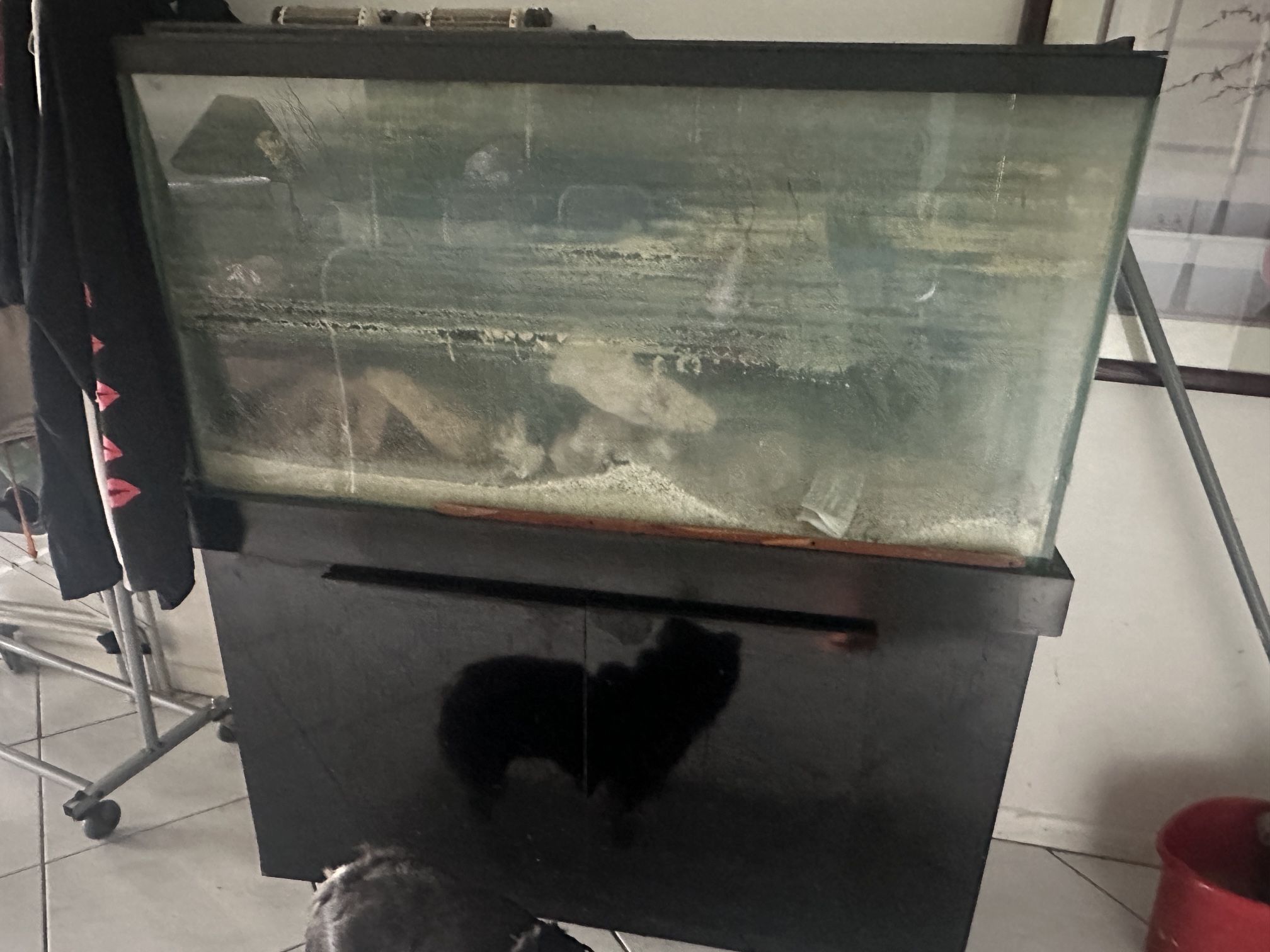 Used Fish Tank 