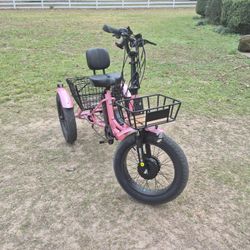 Three Wheel  E Bike