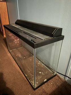 BIG Tank
