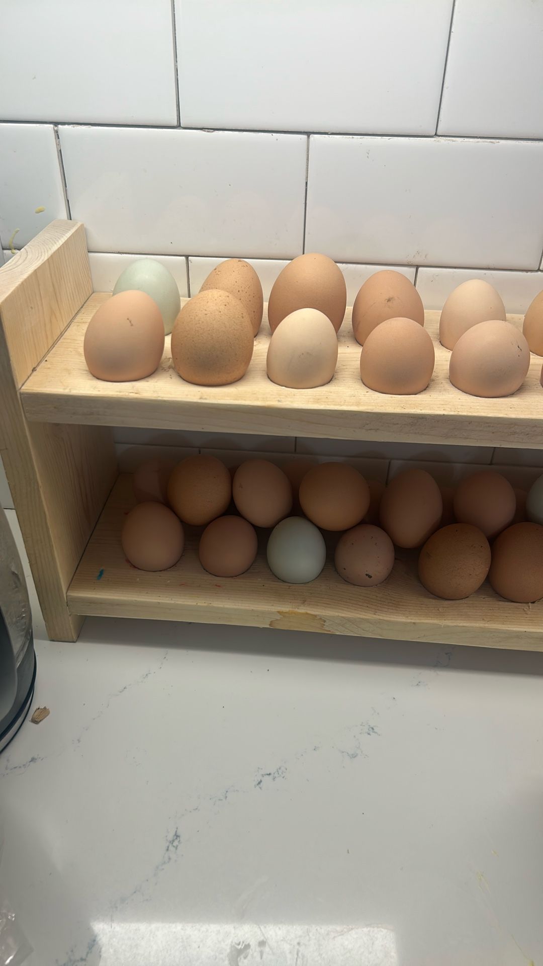 Eggs Farm Fresh Free Range Chicken Eggs