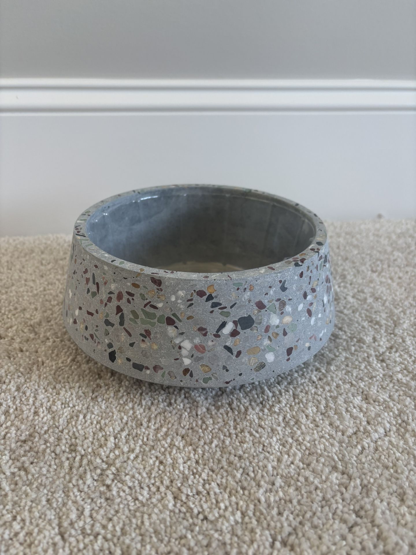 Dog Bowl