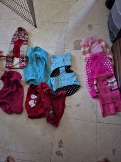 Dog coats, sweaters