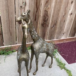  Brass Guraffes 