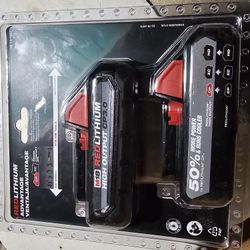 Battery /chargers