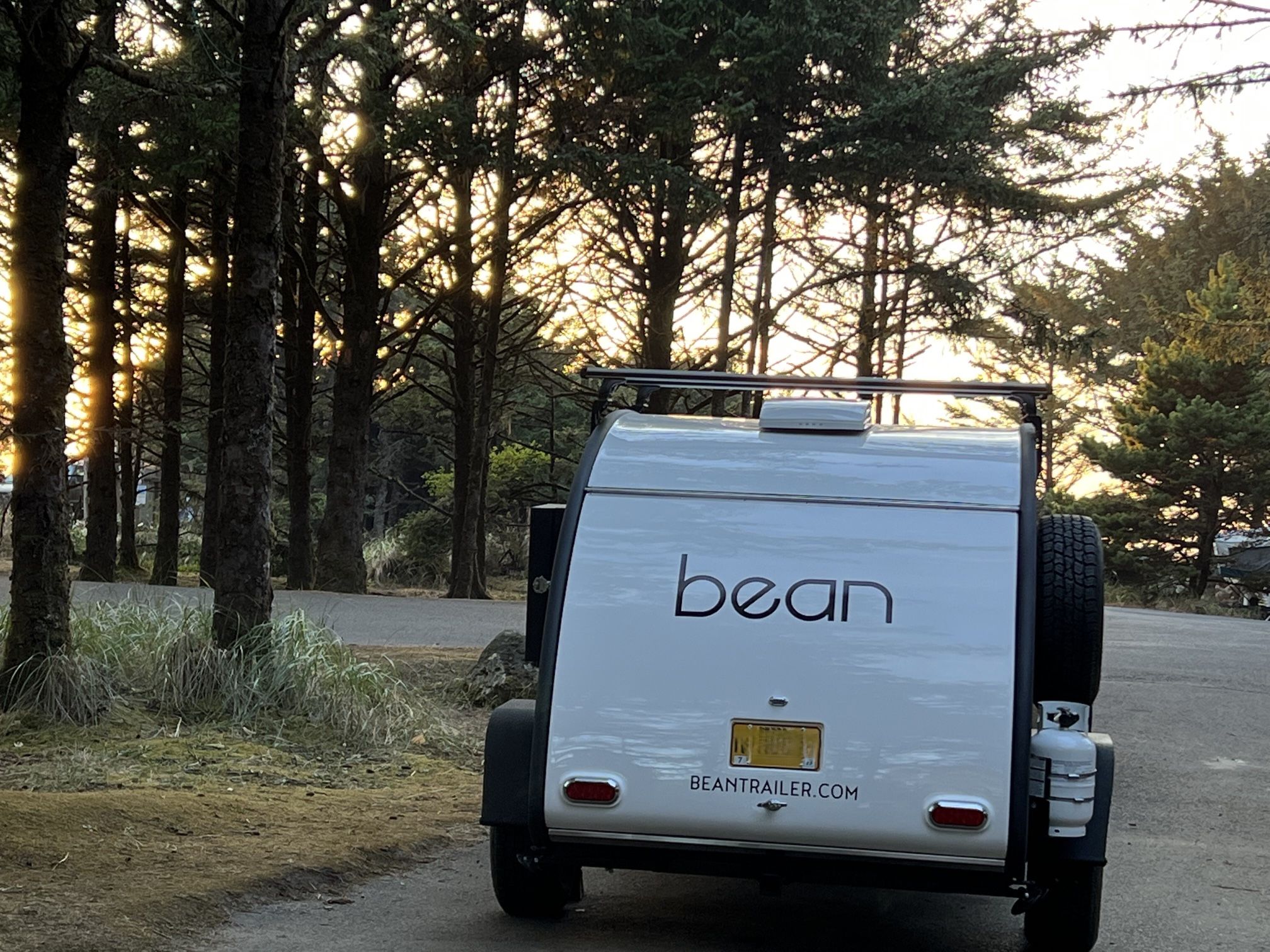 2021 Bean Trailer Mean Bean