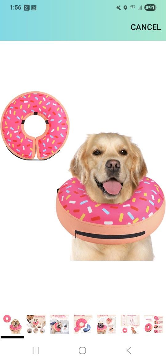 Inflatable Dog Collar