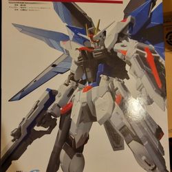 Metal Build Freedom Gundam