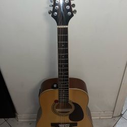 12 string guitar, Mitchel 