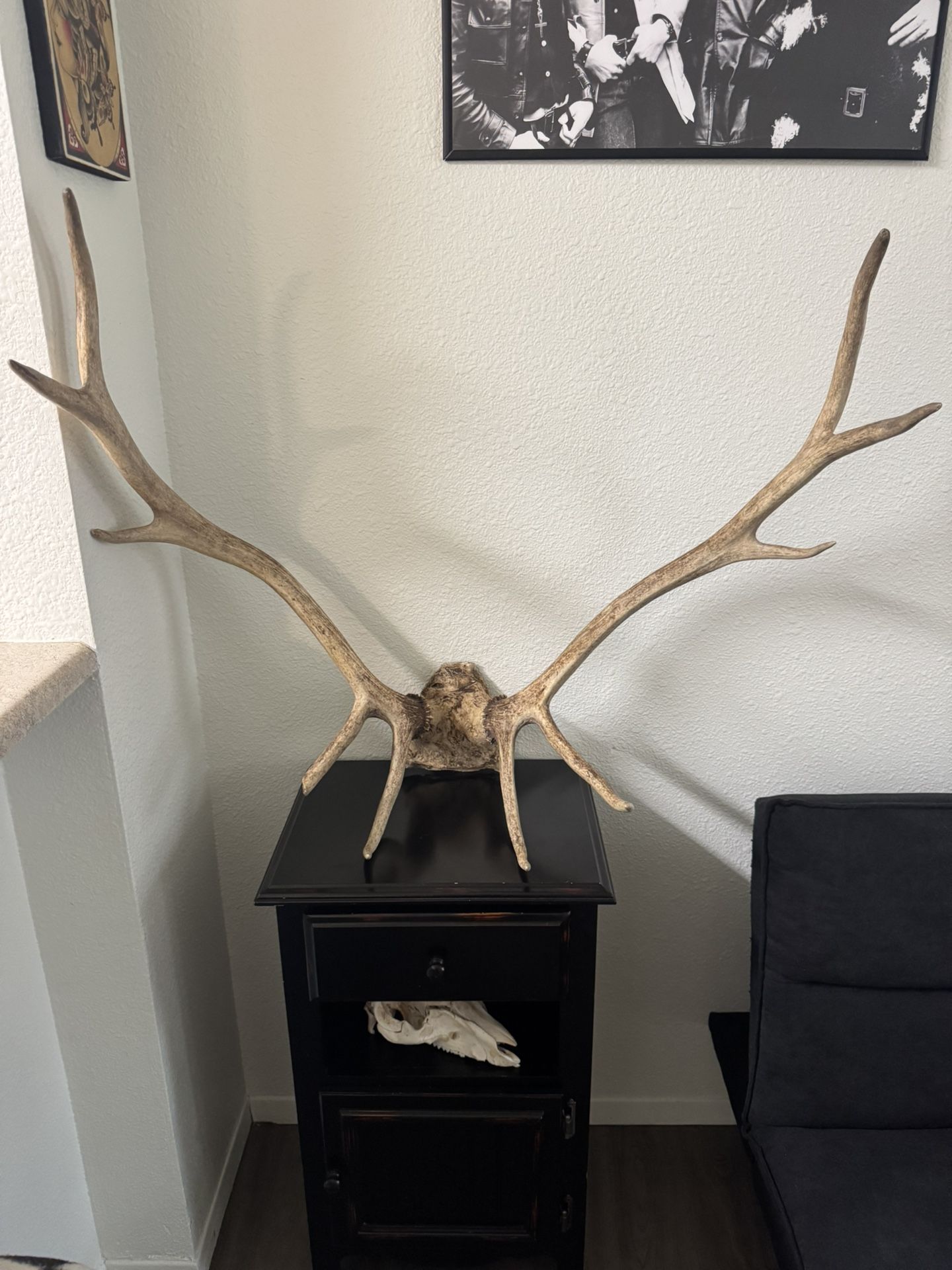 Antique Antlers