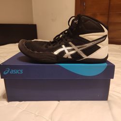 Asics Wrestling Shoes