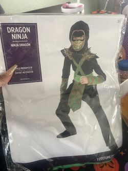 Dragon Ninja Costume
