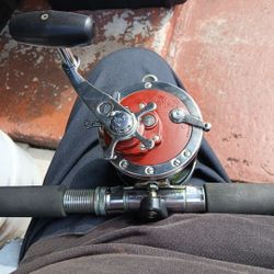 Penn 113h Red Senator