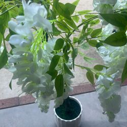 Flowers With White Pot
