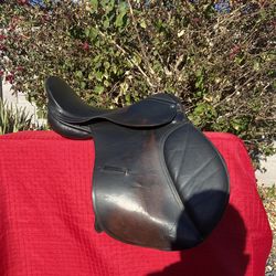 Training Horse Saddle.