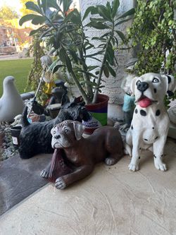 $5 and up Various prices Yard  and Garden Decor