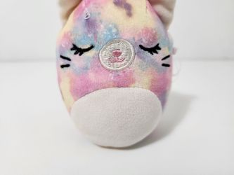 Squishmallows Ornament Erika the Cat Plush