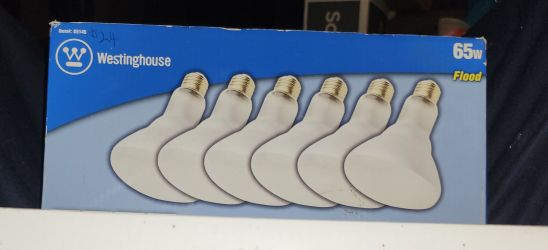 6pk Flood Light Bulbs