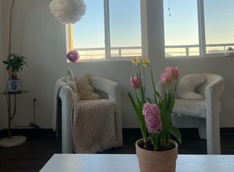Set 4of white Sherpa chairs