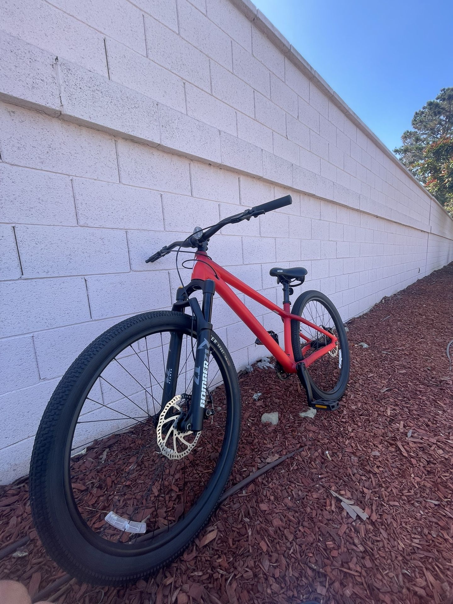 Specialized P.4 Dirt Jumper