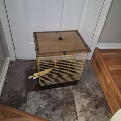 Bird Cage 