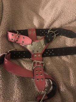 Es large para perros