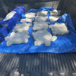 Turtle Stepping Stones 