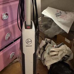 Hoover Carpet Cleaner / Floor Washer – Works Great