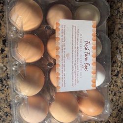 Dozen Fresh Unwashed eggs from Young Backyard Hens