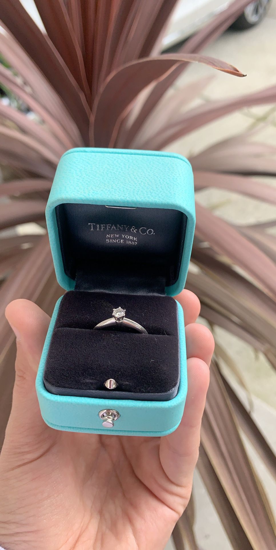 Tiffany & CO . Solitaire Diamond ring 💍