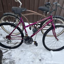 Women's Pink Roadmaster Mountain Bike
