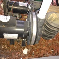 Complete Pool Pump High Performance Century Motor 1 HP 