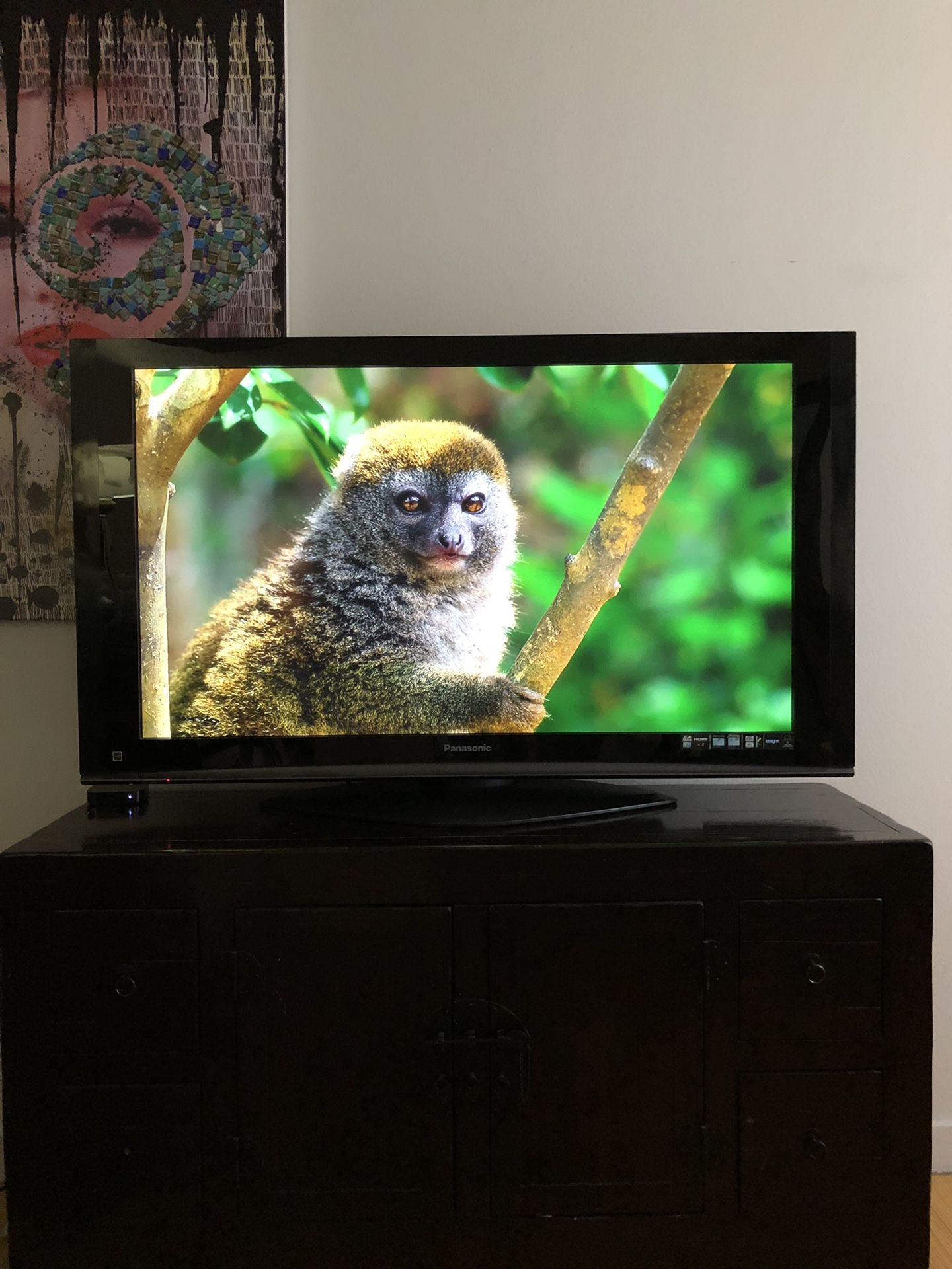 Panasonic 50 “ inch Plasma TV