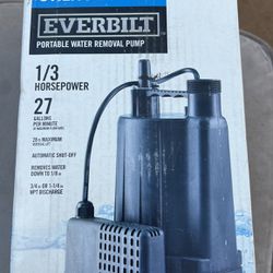 Everbilt HPEBAU33 Automatic Utility Pump