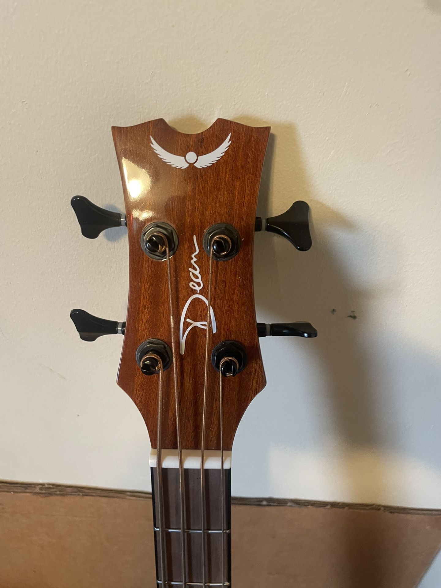 Acoustic Electric Bass
